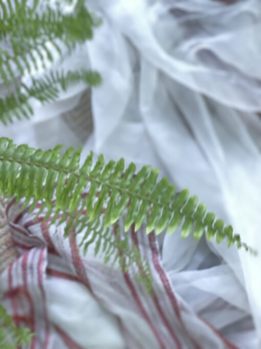 Pearl White Maslin Kantha Saree - Image 8